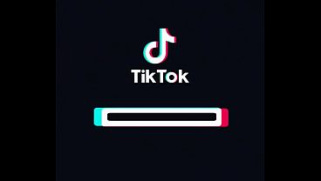 [Fine, Girls 010, Tik Tok] Fine Girls 010