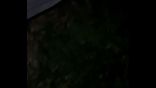 [Yoursolll, Sexy, Grand] E Grand Desbravamos Floresta Encontramos Um Ninho De Trepa