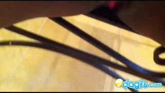 [iPhone, Phone, Self] Movie 1808