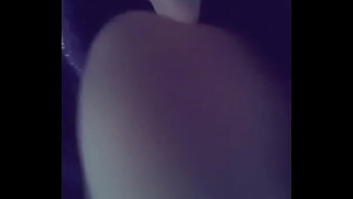 [Novia, Melgar, 1468040876] Videos Melgar 1