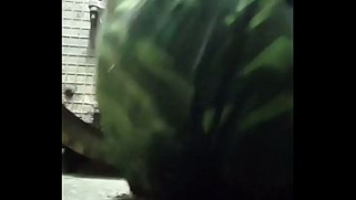 [And, Hungry For, In] I Go To Put In The Shower And Drink Fresh Urine