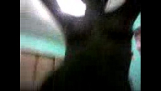 [Nangi, Blue, Amateur] Porn Actor Sleone Nangi Blue Nangi Sexy BF Suresi Mali Karjat