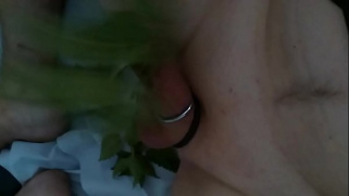 [Amateur, Nettles 2005, SoloBoy] Nettles 2005 Part 3